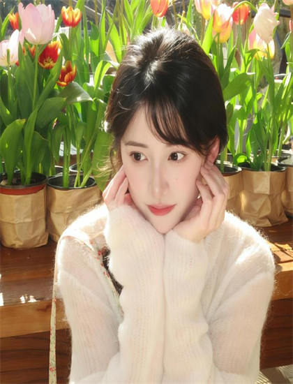 《美味：沉醉于美味》观看指南：剧情走向、时间线梳理与人物关系图详解